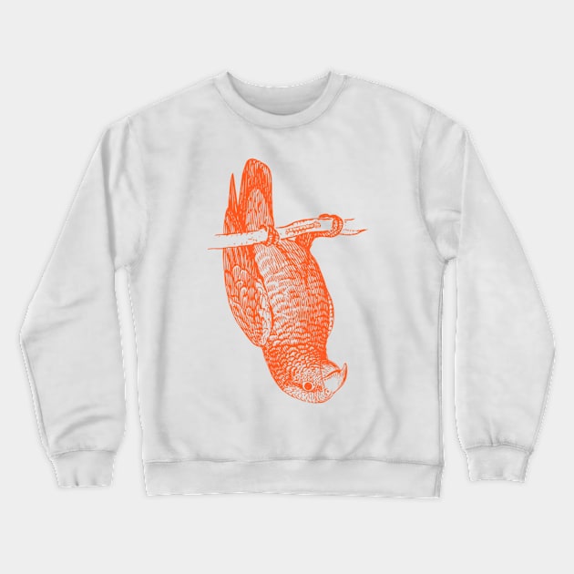 The Upside Down - Balancing Act, Funny Parrot Crewneck Sweatshirt by Kcaand